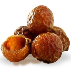 Soapnut