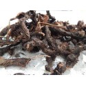 Nagarmotha